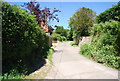 Footpath at Old Swaylands