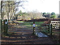 Gate And Cattle Grid