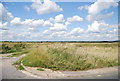 Embankment, Pevensey Levels