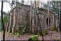 NN5733 : Ruins of Breadalbane Mausoleum, Finlarig by Jim Barton