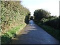 National Cycle Route 3 near Tippetts Shop