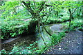 The River Cober near Helston