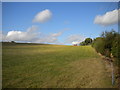 Field west of Lambley (2)