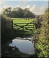 Gate and puddle west of Afton