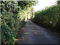 County lane towards Trevarrick