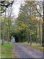 Avenue to Beer near Monkokehampton