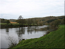 SO6129 : The River Wye below Lyndor Wood by David Purchase