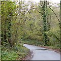 Bridge over a stream in woodland near Grudgeworthy