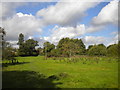 Nature reserve, Lambley