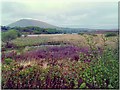 L9597 : A view of Lough Feeagh in Co. Mayo by Enda O Flaherty