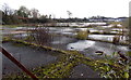 Waste ground on the east side of Goat Road, Pencoed