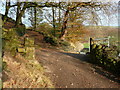 Track junction on Sowerby bridge Bridleway 27