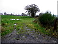 An open field, Kilcroagh