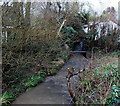 Pipe over Barton Brook, Raglan