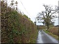 Tarka Trail south of Deckport