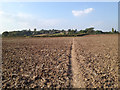 SP2080 : View north across fields to Hampton in Arden by Robin Stott