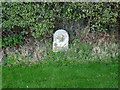 Milestone, Old London Road near Morton Grange