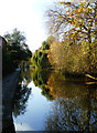 Worcester & Birmingham Canal - Worcester