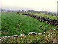 Dry-stone walls, Churchtown, Castlederg