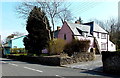 Pink house in Corntown