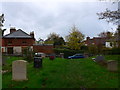 St Lawrence, Effingham: churchyard (c)