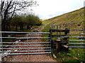 Gate and stile, Gilfach Goch