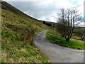 Side road to Rosehill Terrace, Gilfach Goch