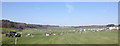 SJ5567 : Panorama of Kelsall Hill Horse Trials by Jonathan Hutchins