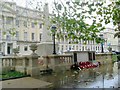 Poppies, Leaves and Rain Cheltenham Spa