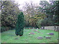 St Lawrence, Effingham: churchyard (f)