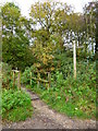 Footbridge at west end of Birch Lane