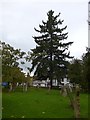 St Nicholas, Great Bookham: churchyard (c)