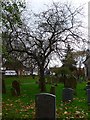 St Nicholas, Great Bookham: churchyard (k)