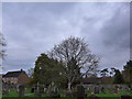 St Nicholas, Great Bookham: churchyard (q)