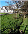 Brook on the north side of Pant Hirwaun, Heol-y-cyw