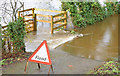 J3067 : Flooded towpath, Drumbeg, Dunmurry - November 2014(3) by Albert Bridge