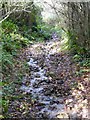 Footpath near Sandcombe Farm