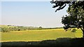 Fields near Coombe Bissett