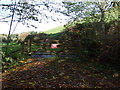 Gated track, Carne Hill