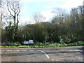 Country road junction and woodland