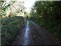 Lane at West Watergate