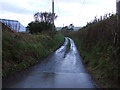 Lane towards Cleese Farm