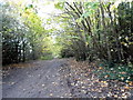 Track at the end of Ermyn Way, Ashtead