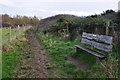 Torridge : Path