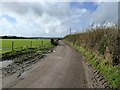 Bridleway near Lower Sweetcombe Farm