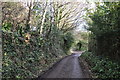 Torridge : Country Lane