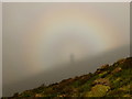 NT2332 : Brocken spectre at Glenrath Heights by Alan O'Dowd