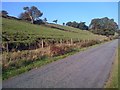 Lane to Hollinsclough