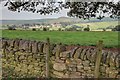 Stile over Wall, near School Clough