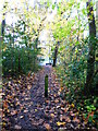 Mile Path approaches Hook Heath Road